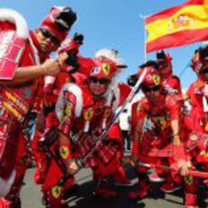 Samurais de Ferrari en Suzuka