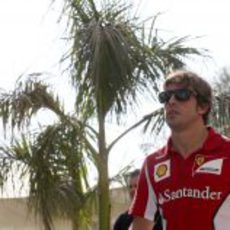 Fernando Alonso llega al circuito de Yas Marina