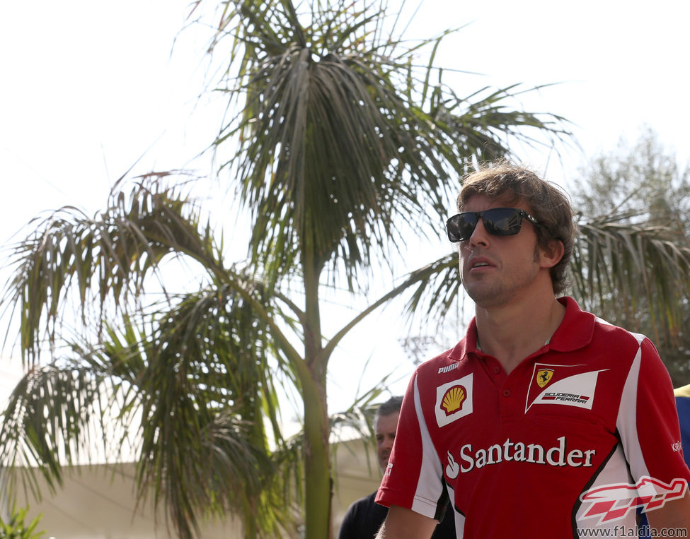 Fernando Alonso llega al circuito de Yas Marina
