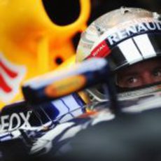 Sebastian Vettel concentrado dentro de su RB8