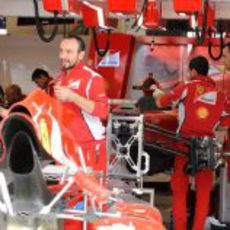 Trabajo en el box de Ferrari