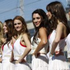 Las 'pit babes' juntas antes de la carrera de Austin