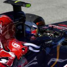 Decoración clásica del Toro Rosso STR8