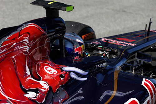 Decoración clásica del Toro Rosso STR8