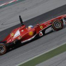 Plano lateral del Ferrari F138 en manos de Fernando Alonso