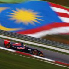 Jean-Eric Vergne y su Toro Rosso sobre el asfalto del Circuito de Sepang