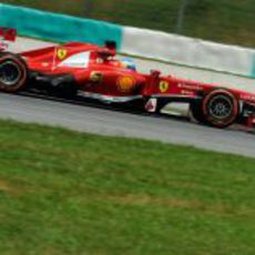 Fernando Alonso con el compuesto duro en Sepang