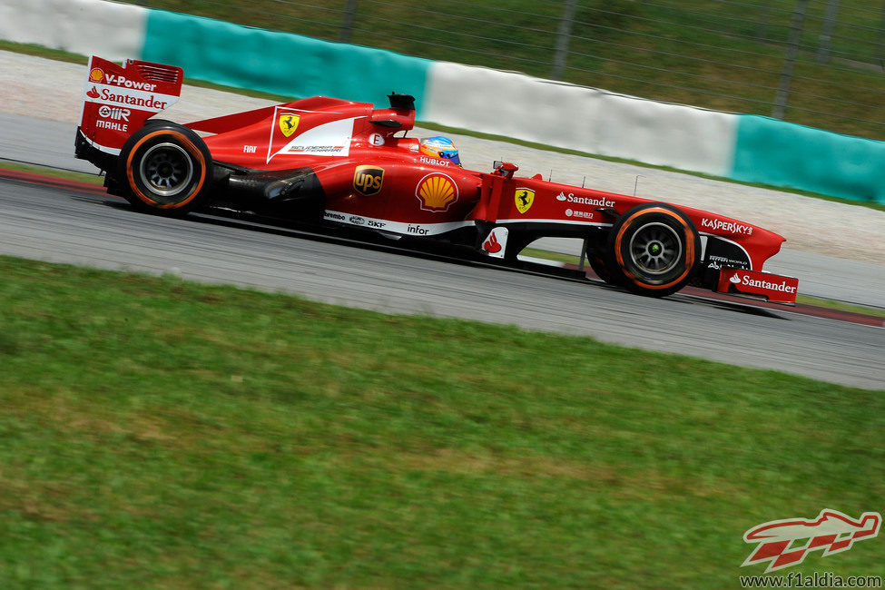 Fernando Alonso con el compuesto duro en Sepang