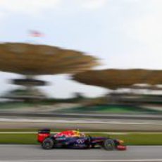 Mark Webber afronta una de las reviradas curvas del circuito de Sepang