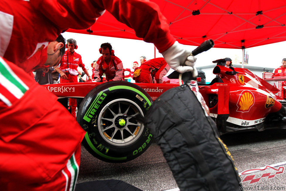 Neumáticos intermedios para Fernando Alonso