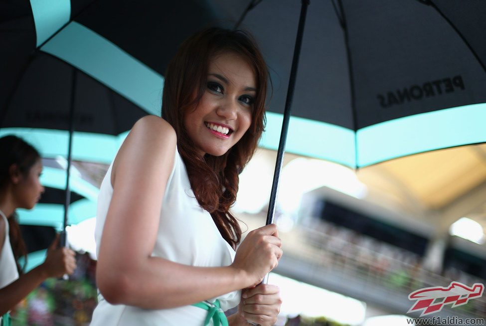 Pitbabe en el Gran Premio de Malasia 2013