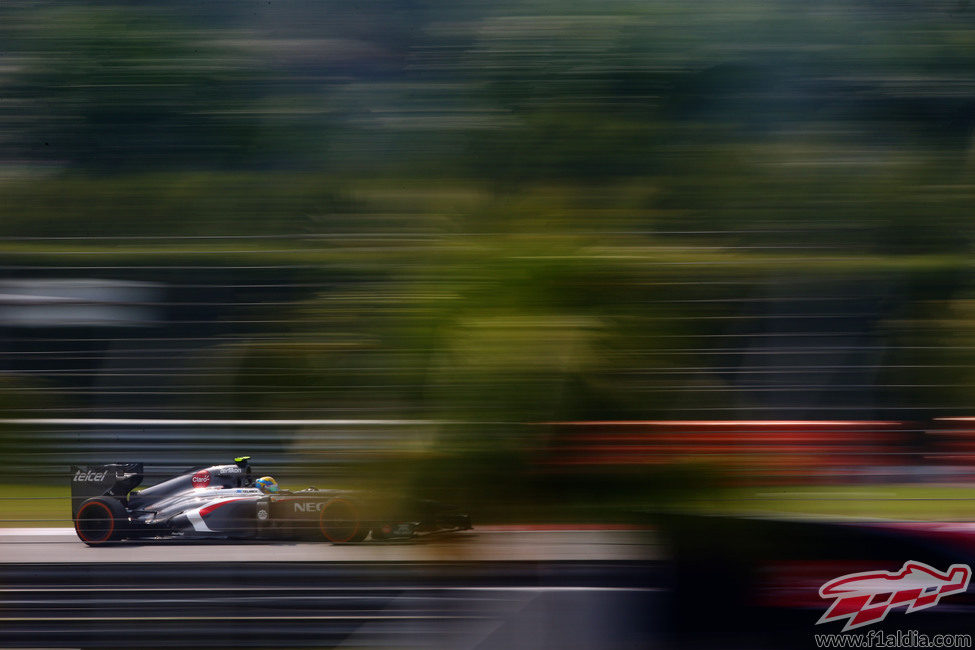 Esteban Gutiérrez entre la maleza