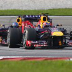 Pelea entre los compañeros de Red Bull