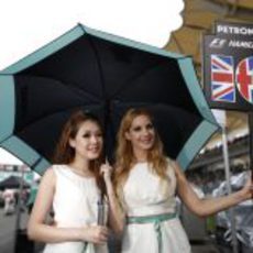 Pitbabes con el cartel de Lewis Hamilton