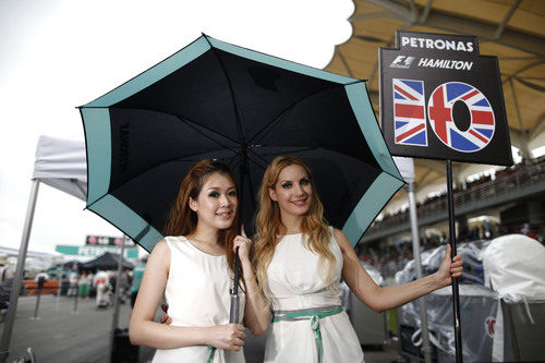 Pitbabes con el cartel de Lewis Hamilton