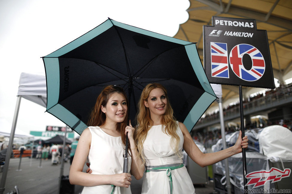 Pitbabes con el cartel de Lewis Hamilton