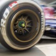 Detalle de la llanta de Toro Rosso