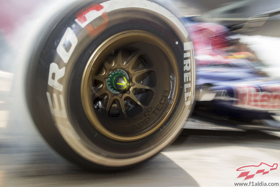 Detalle de la llanta de Toro Rosso