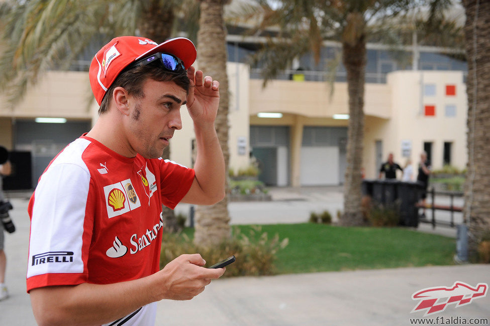 Fernando Alonso llega al paddock