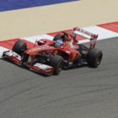 Fernando Alonso rodando en los libres