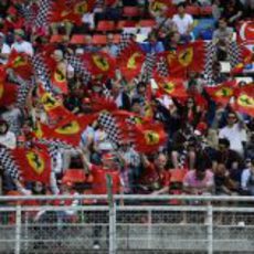 Los aficionados claman a Ferrari