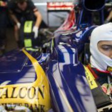 Daniel Ricciardo metido en su monoplaza