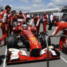 El F138 está preparado para el Gran Premio en la parrilla de Canadá
