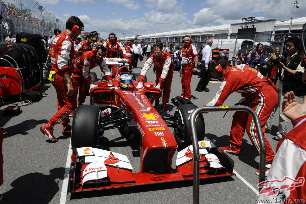 El F138 está preparado para el Gran Premio en la parrilla de Canadá