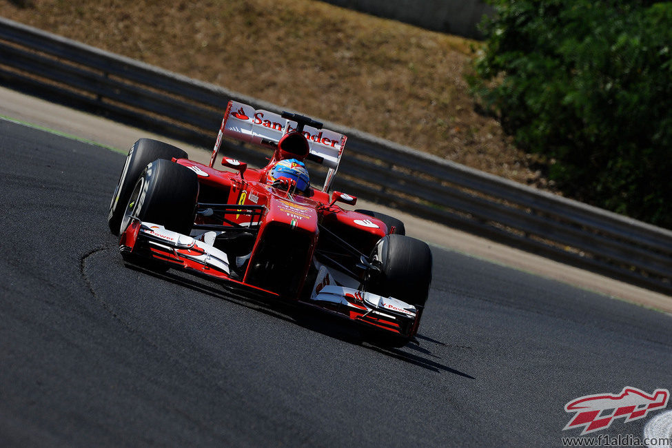 Primer sector para Fernando Alonso