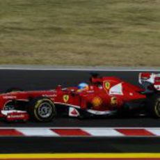 Fernando Alonso rueda con el compuesto blando