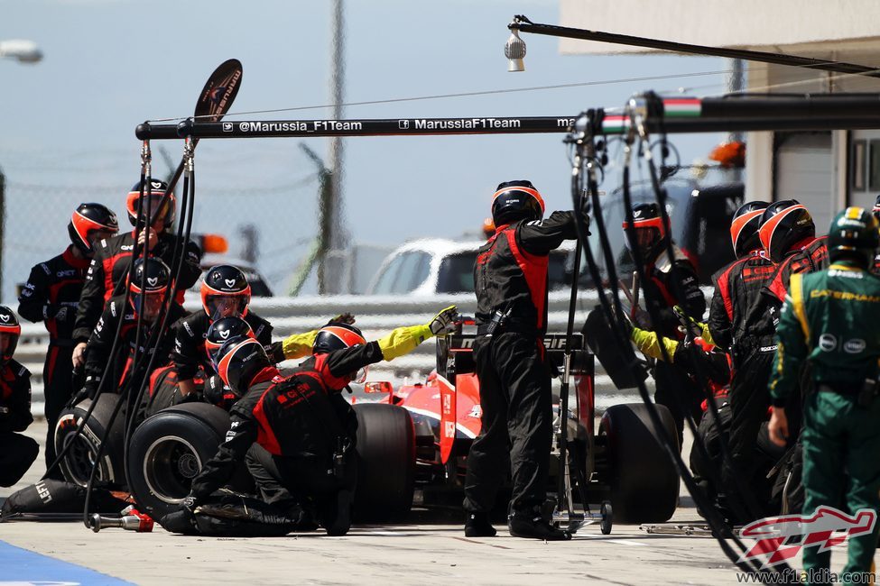 Cambio de gomas para Jules Bianchi en boxes