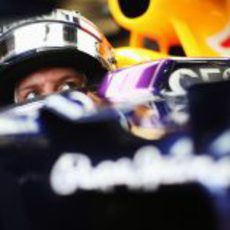 Mirada atenta de Sebastian Vettel