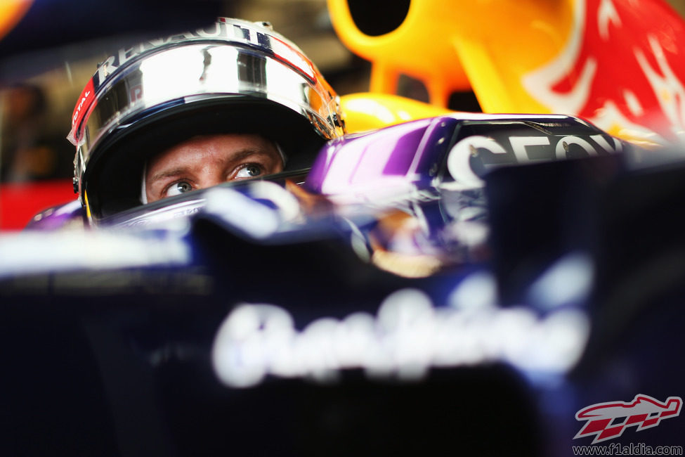 Mirada atenta de Sebastian Vettel