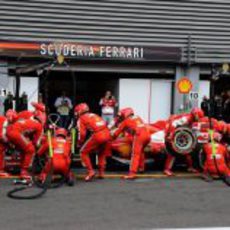 Cambio de gomas para Felipe Massa en boxes