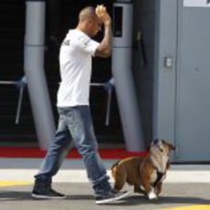 Lewis Hamilton pasea a Roscoe por el paddock de Monza