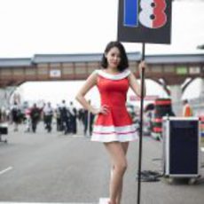 La 'grid girl' de Jean-Eric Vergne en Corea