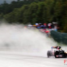 Buemi en el agua