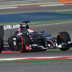 Esteban Gutiérrez sigue completando vueltas con los duros