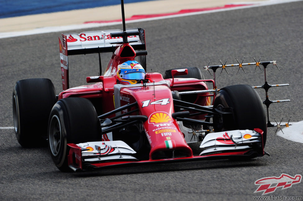 Simulación de carrera para Fernando Alonso
