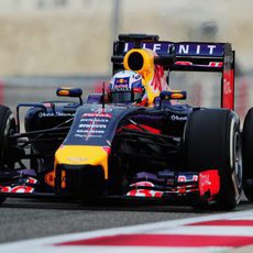 Daniel Ricciardo se acostmbra al RB10