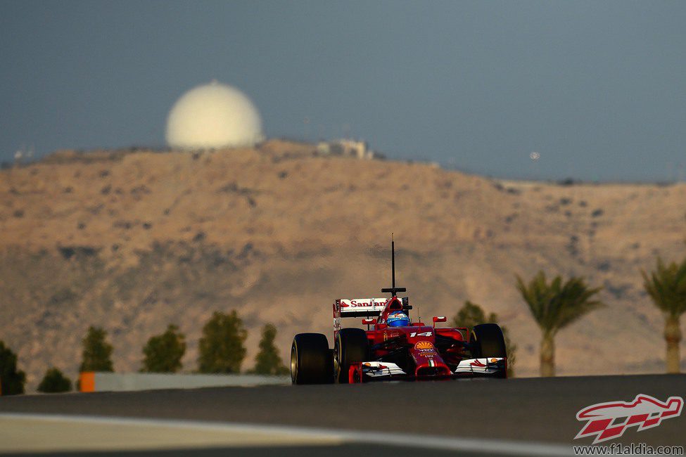 Fernando Alonso rueda con su F14T