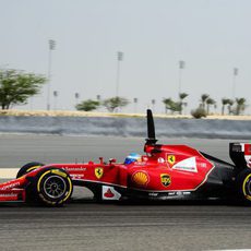 Fernando Alonso rueda con los neumáticos blandos