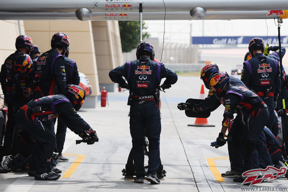 Preparados en Red Bull para una parada