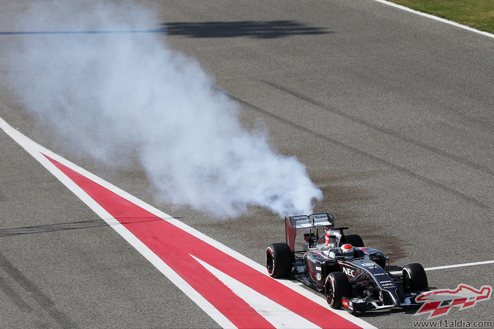 Humareda blanca en el C33 de Adrian Sutil