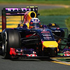 Compuesto medio para Daniel Ricciardo