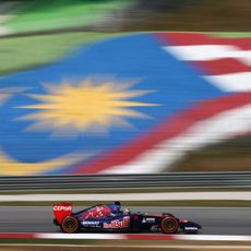 Jean-Eric Vergne con la bandera del país al fondo