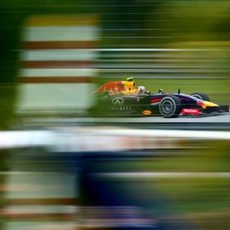 Daniel Ricciardo a través de la vegetación durante los Libres 3 del GP de Malasia