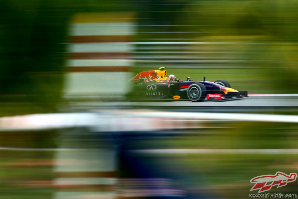 Daniel Ricciardo a través de la vegetación durante los Libres 3 del GP de Malasia