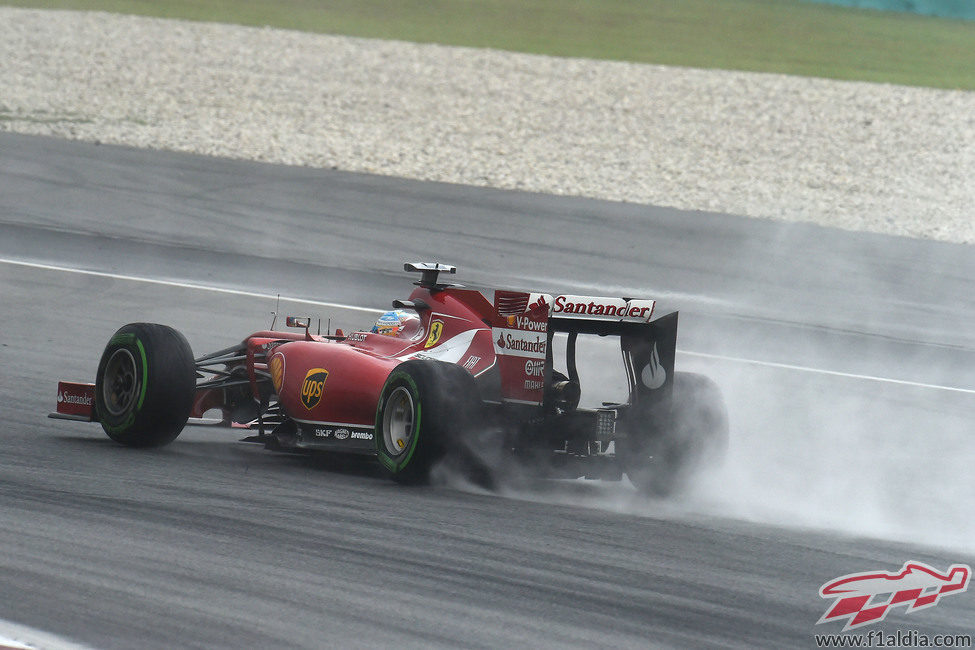 Mucha lluvia mientras Fernando Alonso conduce el F14-T