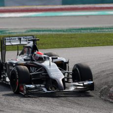 Sin puntos para Adrian Sutil en Malasia